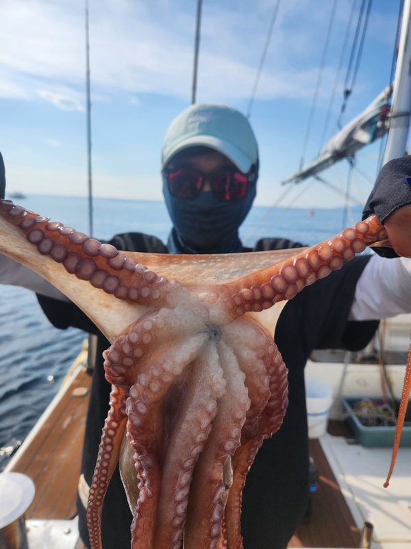 씨엔조이호의 조황일지 이미지 - 1