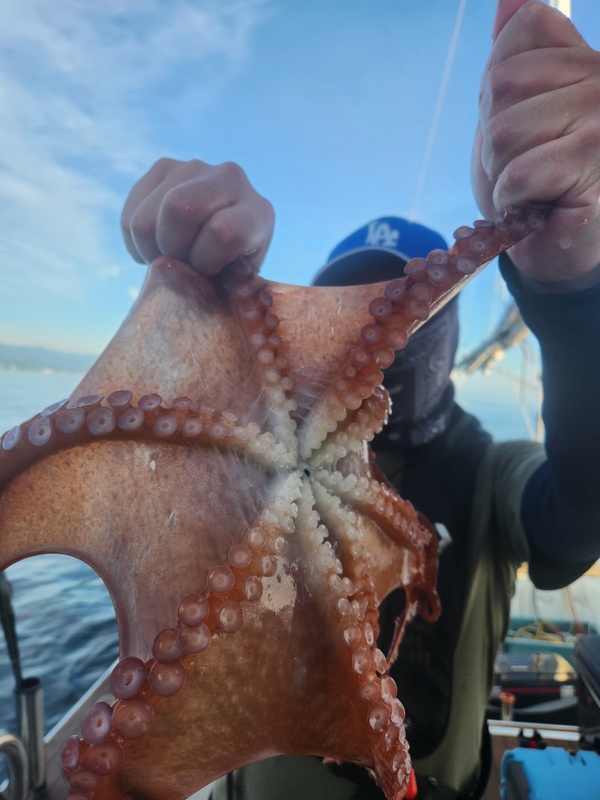 씨엔조이호의 조황일지 이미지 - 7