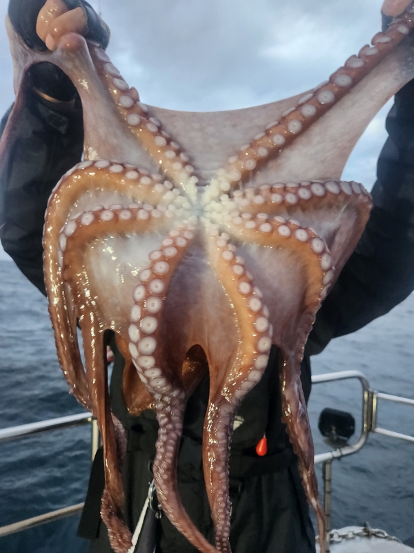 씨엔조이호의 조황일지 이미지 - 0