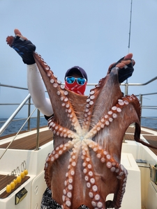 7월 12일 피문어 조황 선상낚시로 잡은 물고기 조황