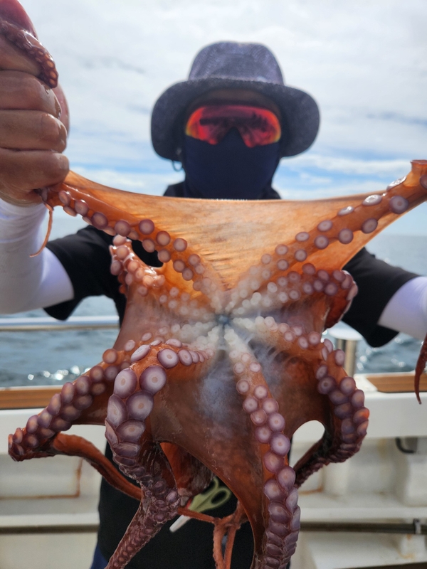 씨엔조이호의 조황일지 이미지 - 10