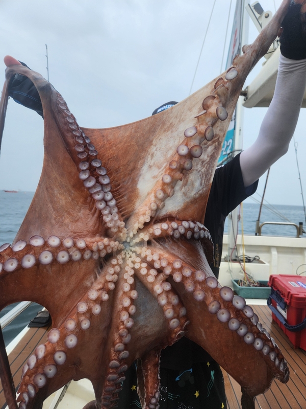 씨엔조이호의 조황일지 이미지 - 11