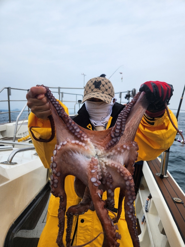 씨엔조이호의 조황일지 이미지 - 3