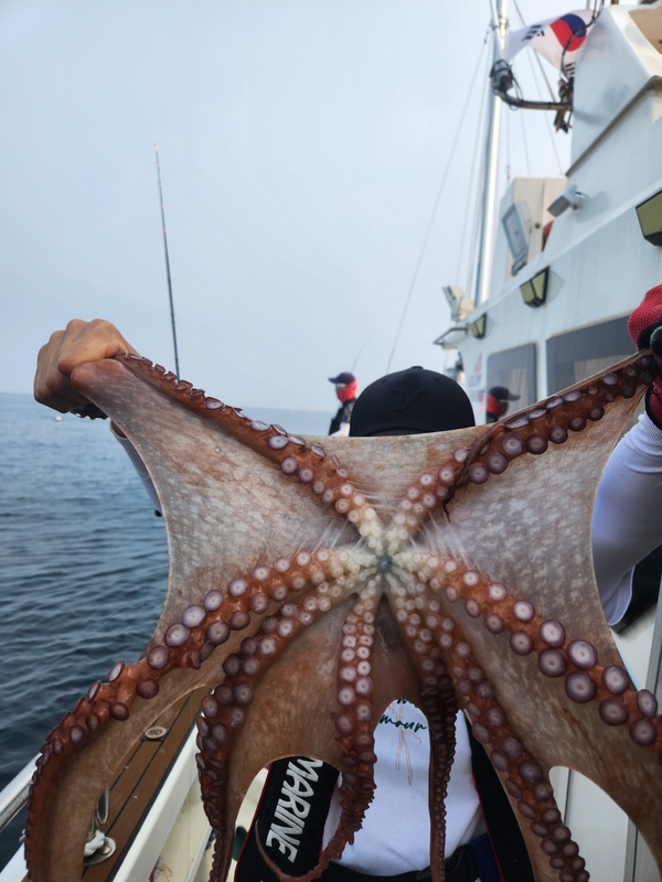 씨엔조이호의 조황일지 이미지 - 7