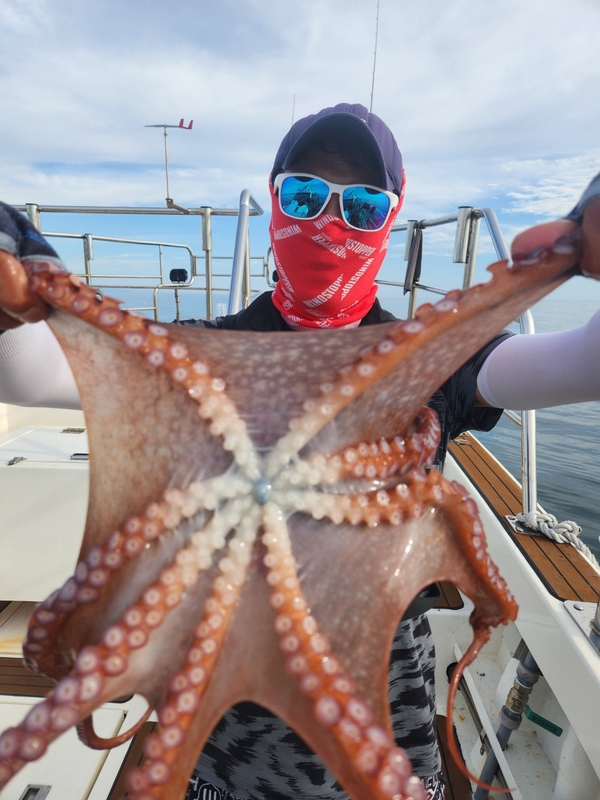 씨엔조이호의 조황일지 이미지 - 7