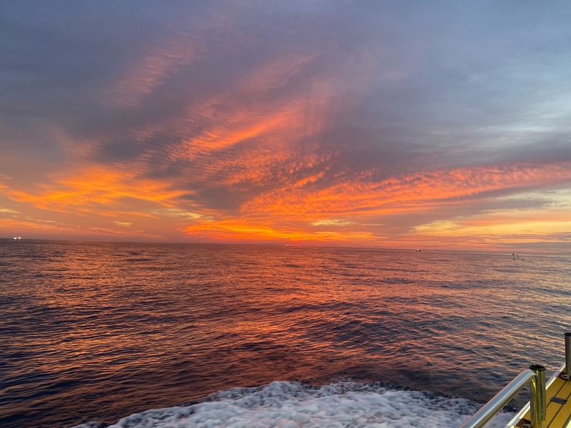 씨엔조이호의 조황일지 이미지 - 0