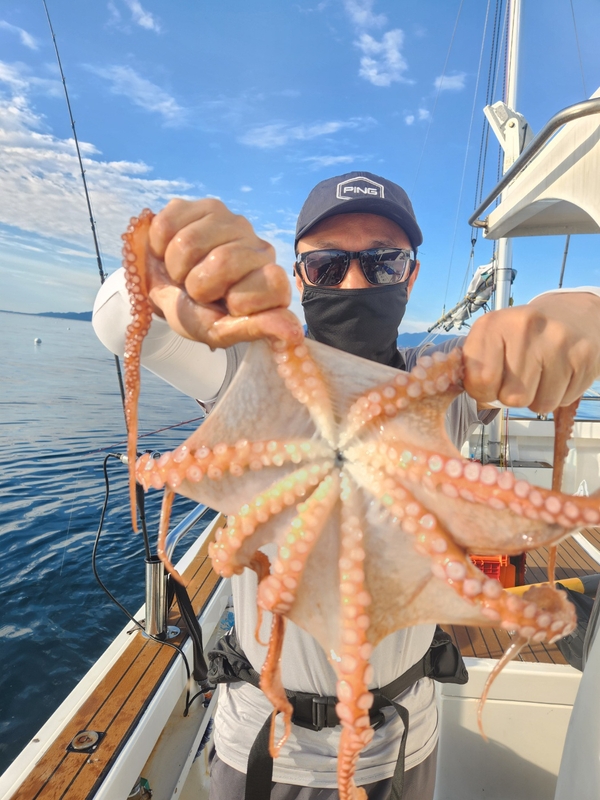 씨엔조이호의 조황일지 이미지 - 11