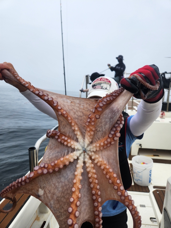 씨엔조이호의 조황일지 이미지 - 9