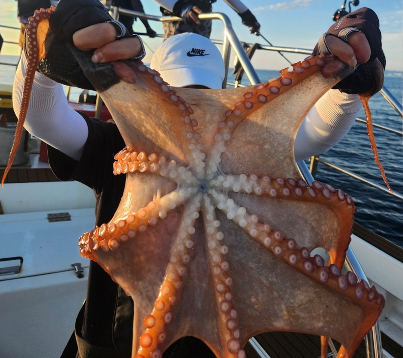 씨엔조이호의 조황일지 이미지 - 4