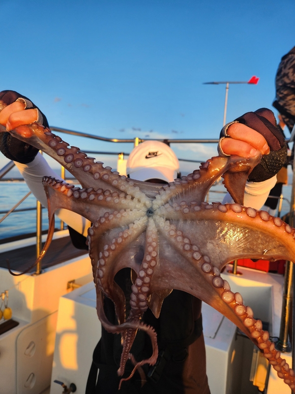 씨엔조이호의 조황일지 이미지 - 1