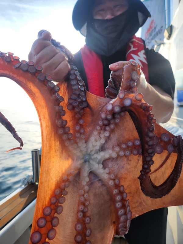 씨엔조이호의 조황일지 이미지 - 1