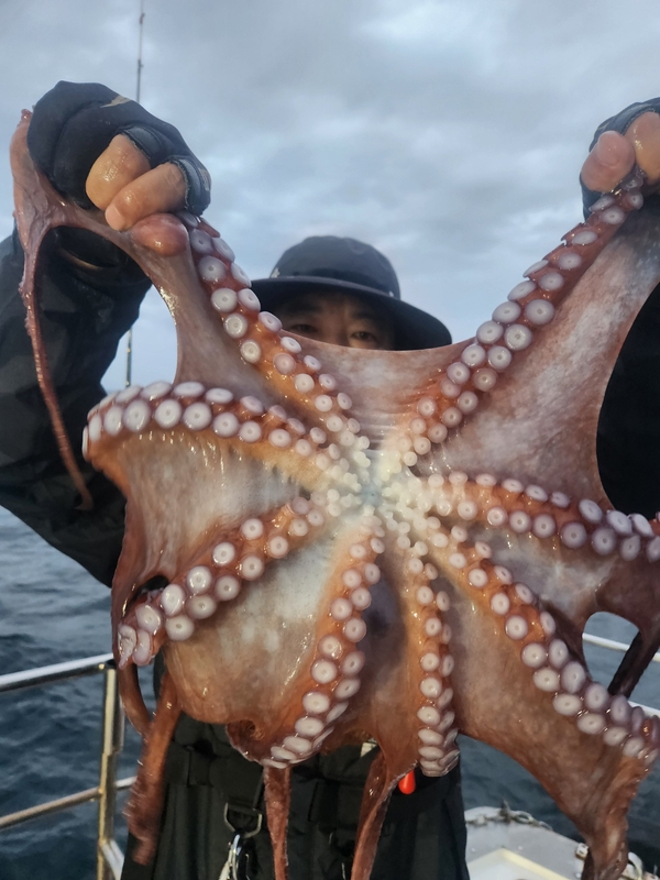 씨엔조이호의 조황일지 이미지 - 11