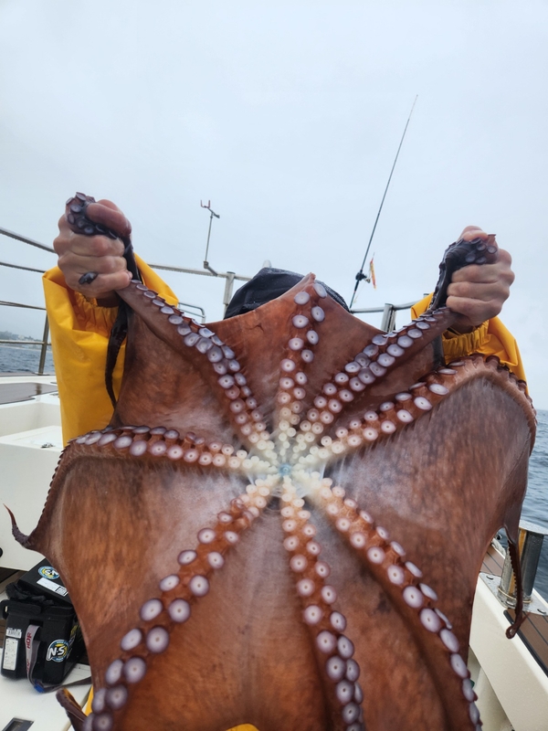 씨엔조이호의 조황일지 이미지 - 4