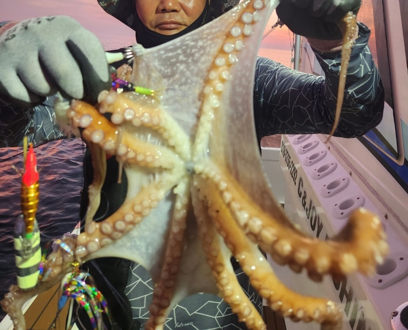 씨엔조이호의 조황일지 이미지 - 5