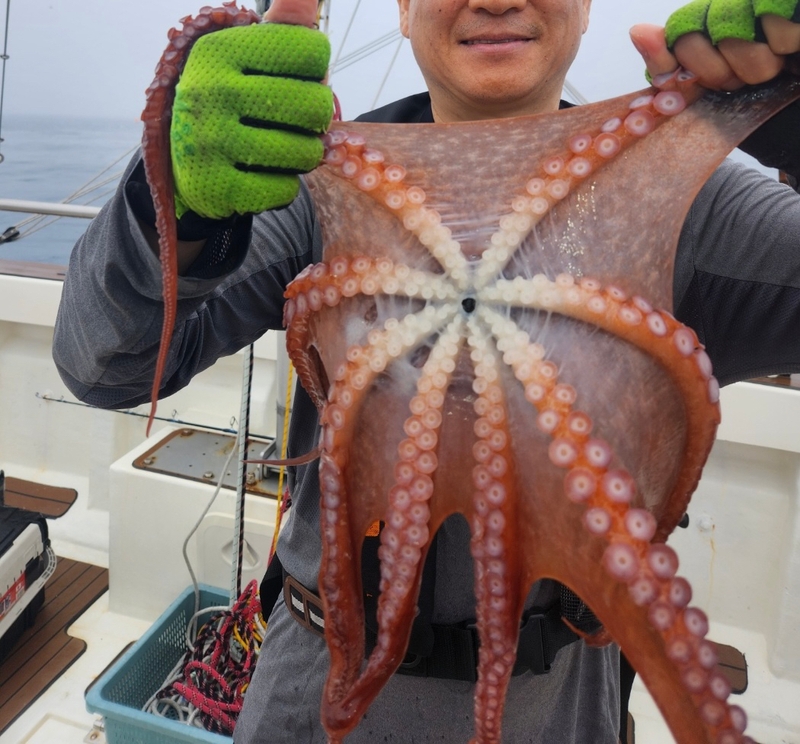 씨엔조이호의 조황일지 이미지 - 3