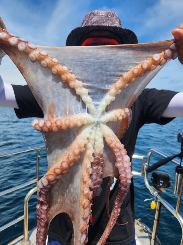 씨엔조이호의 조황일지 이미지 - 15