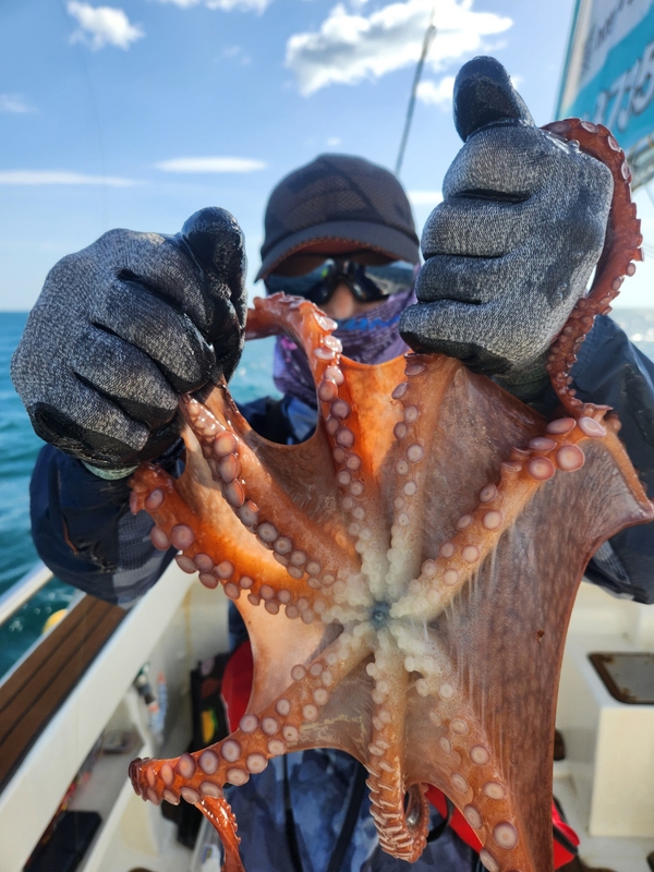 씨엔조이호의 조황일지 이미지 - 5