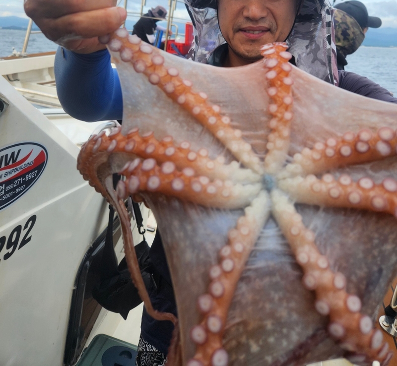 씨엔조이호의 조황일지 이미지 - 6