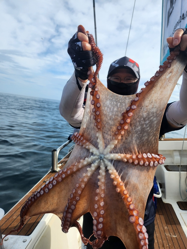 씨엔조이호의 조황일지 이미지 - 8