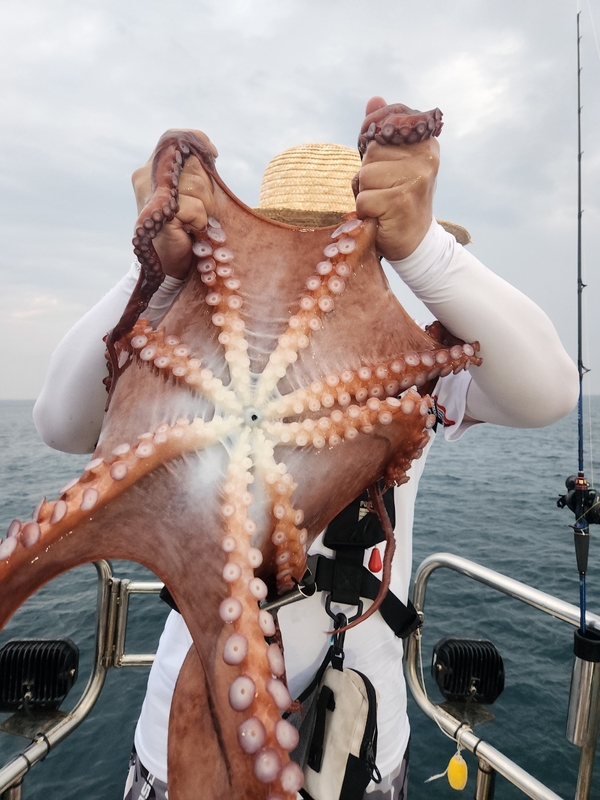 씨엔조이호의 조황일지 이미지 - 4