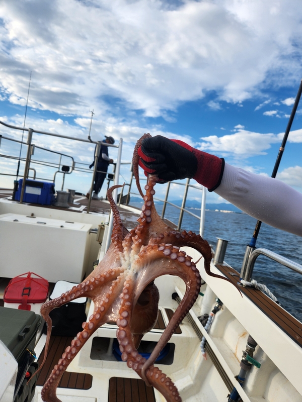 씨엔조이호의 조황일지 이미지 - 3