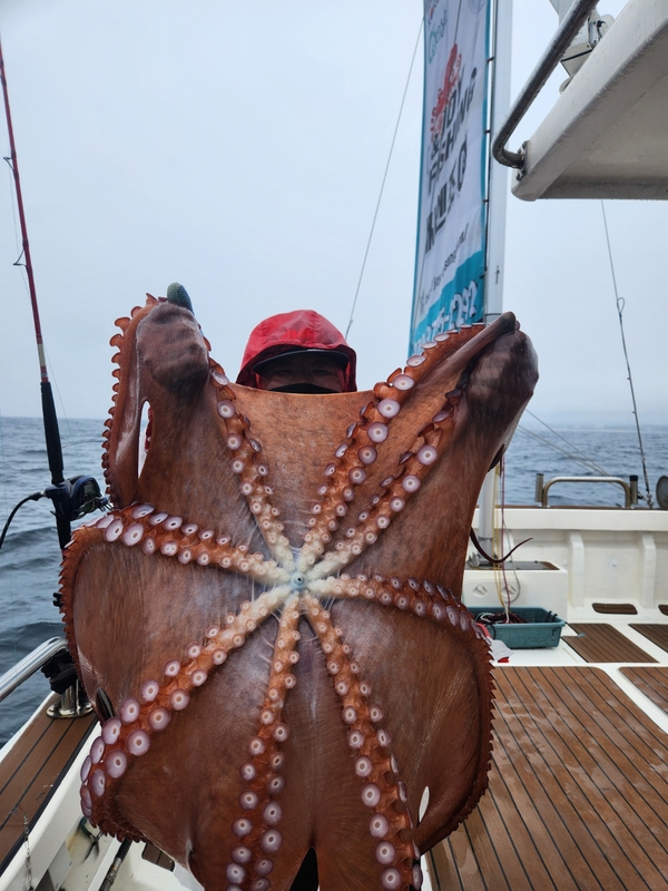 씨엔조이호의 조황일지 이미지 - 0