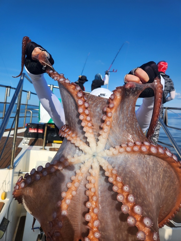 씨엔조이호의 조황일지 이미지 - 11