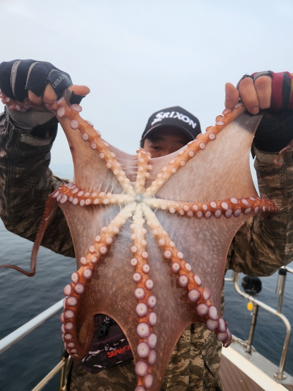 씨엔조이호의 조황일지 이미지 - 17