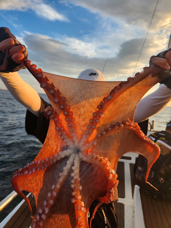 씨엔조이호의 조황일지 이미지 - 1