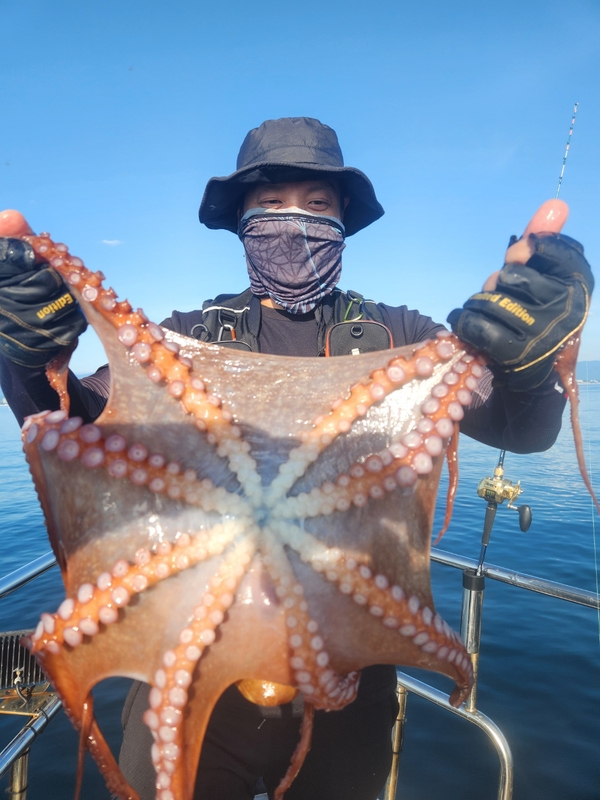 씨엔조이호의 조황일지 이미지 - 10