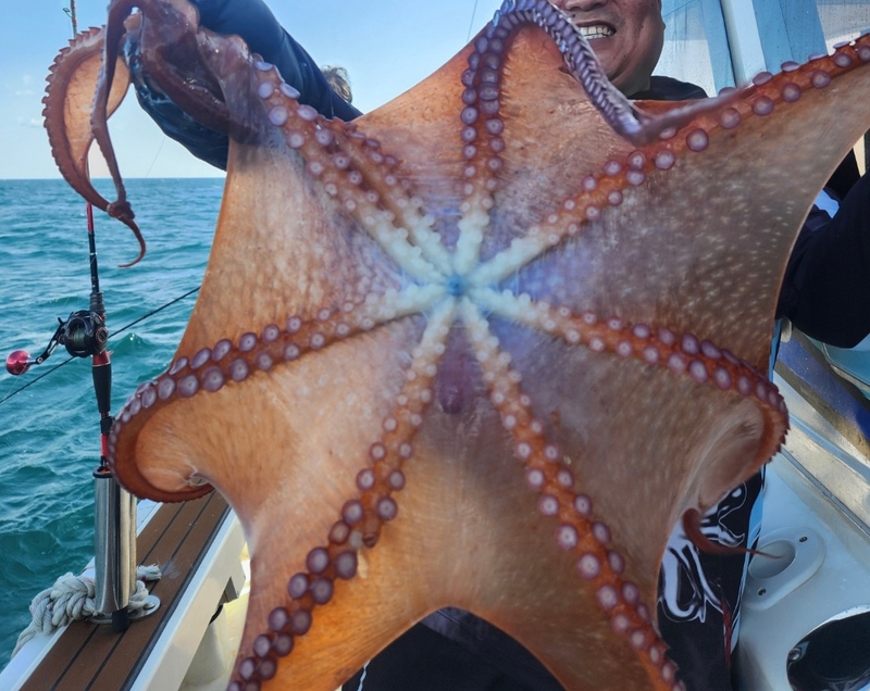 씨엔조이호의 조황일지 이미지 - 3