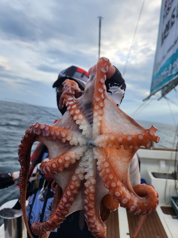 씨엔조이호의 조황일지 이미지 - 3