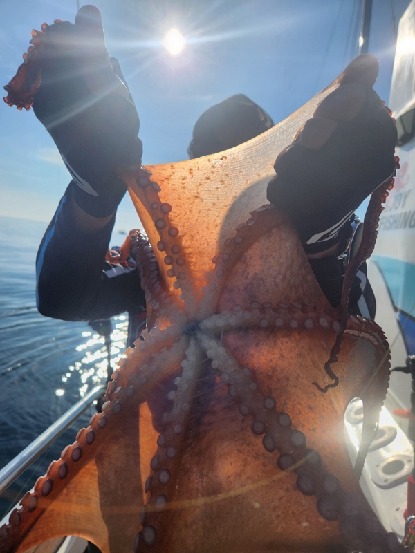 씨엔조이호의 조황일지 이미지 - 12