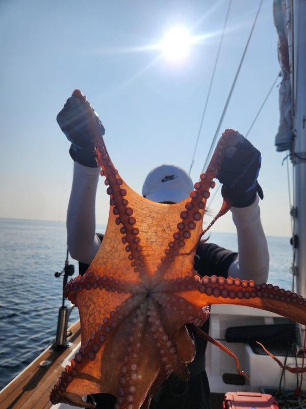 씨엔조이호의 조황일지 이미지 - 5