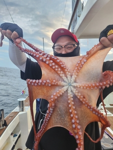 7월 28일 강릉 사천항 씨엔조이호 피문어조황 선상낚시로 잡은 물고기 조황