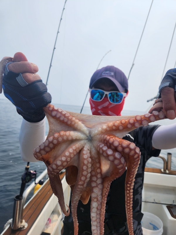 씨엔조이호의 조황일지 이미지 - 2