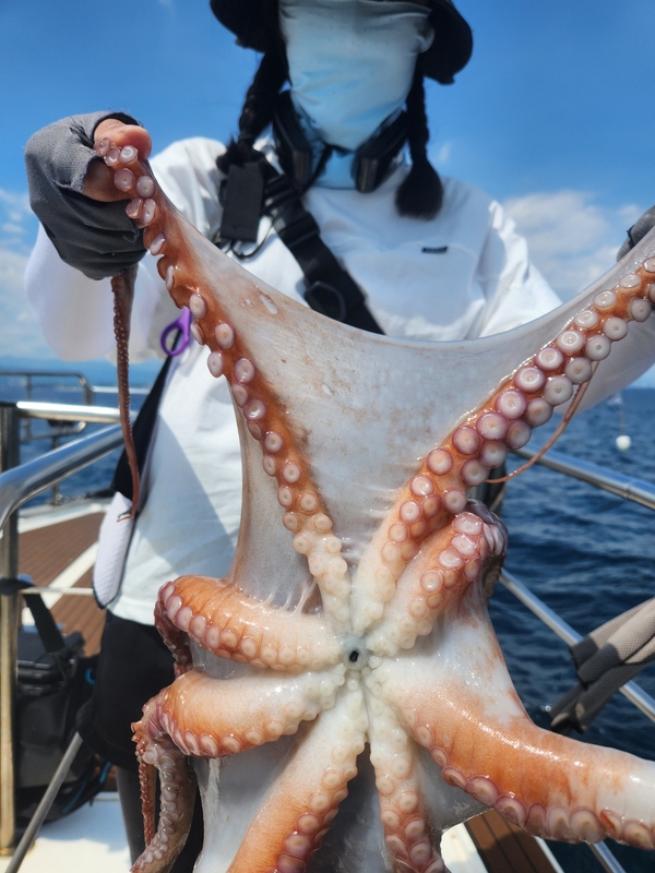 씨엔조이호의 조황일지 이미지 - 3