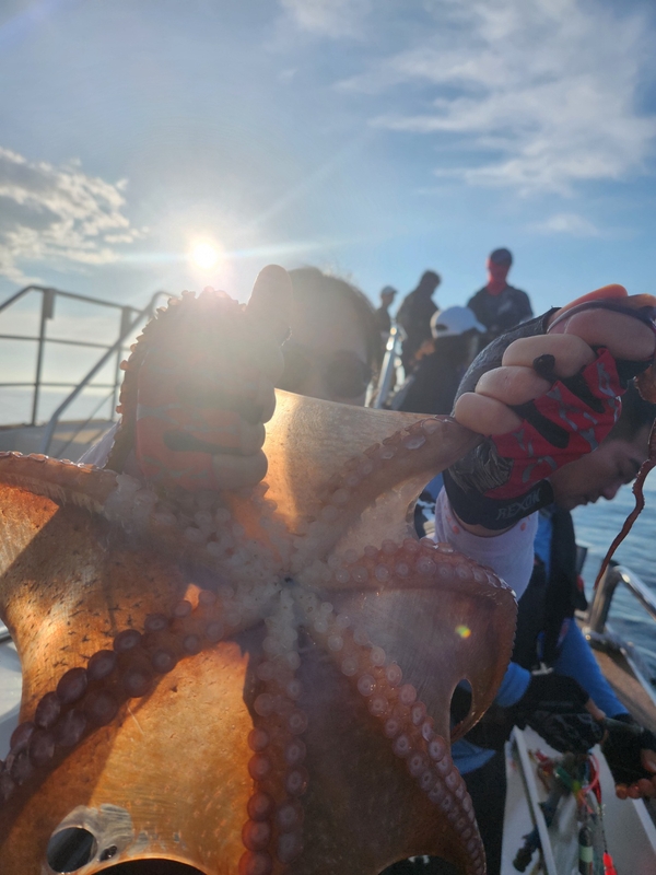 씨엔조이호의 조황일지 이미지 - 8