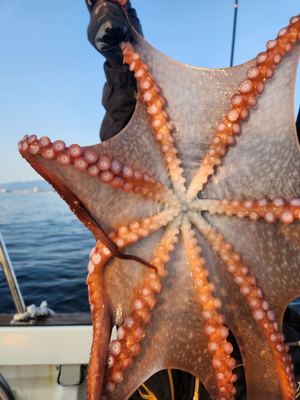 씨엔조이호의 조황일지 이미지 - 1