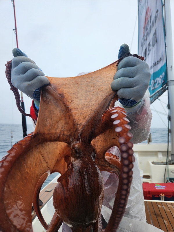 씨엔조이호의 조황일지 이미지 - 3