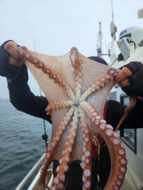 씨엔조이호의 조황일지 이미지 - 10