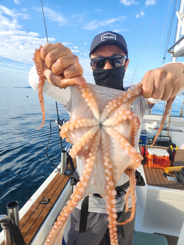 씨엔조이호의 조황일지 이미지 - 6