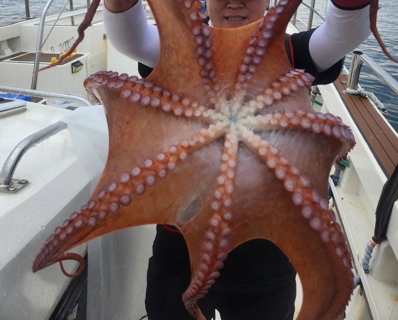 씨엔조이호의 조황일지 이미지 - 13