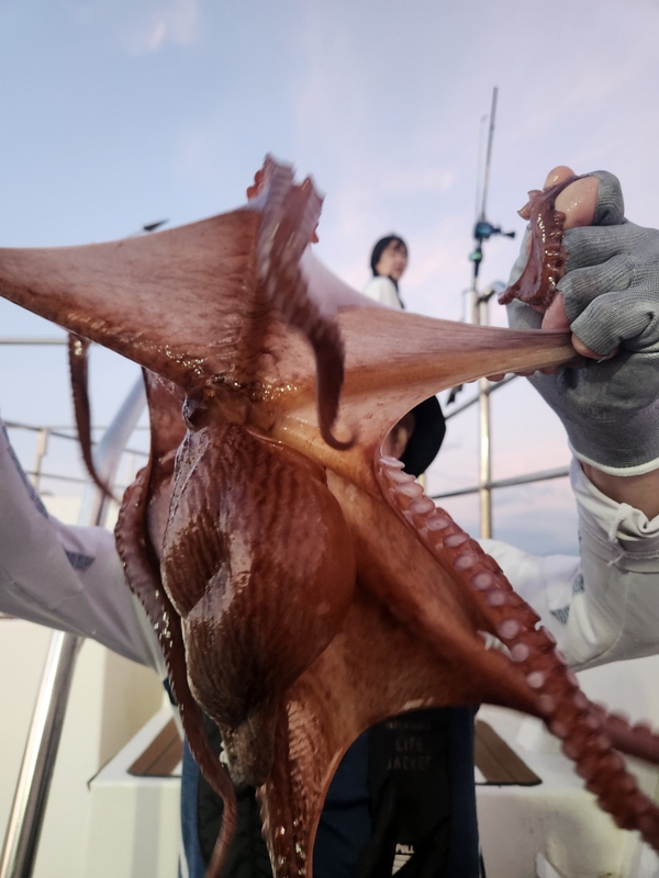 씨엔조이호의 조황일지 이미지 - 6