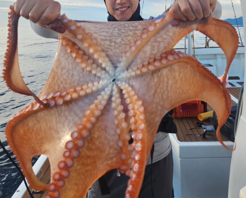 씨엔조이호의 조황일지 이미지 - 5