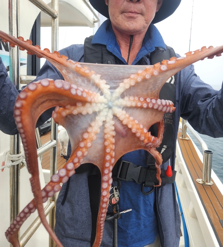 씨엔조이호의 조황일지 이미지 - 7