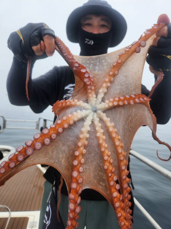 씨엔조이호의 조황일지 이미지 - 5