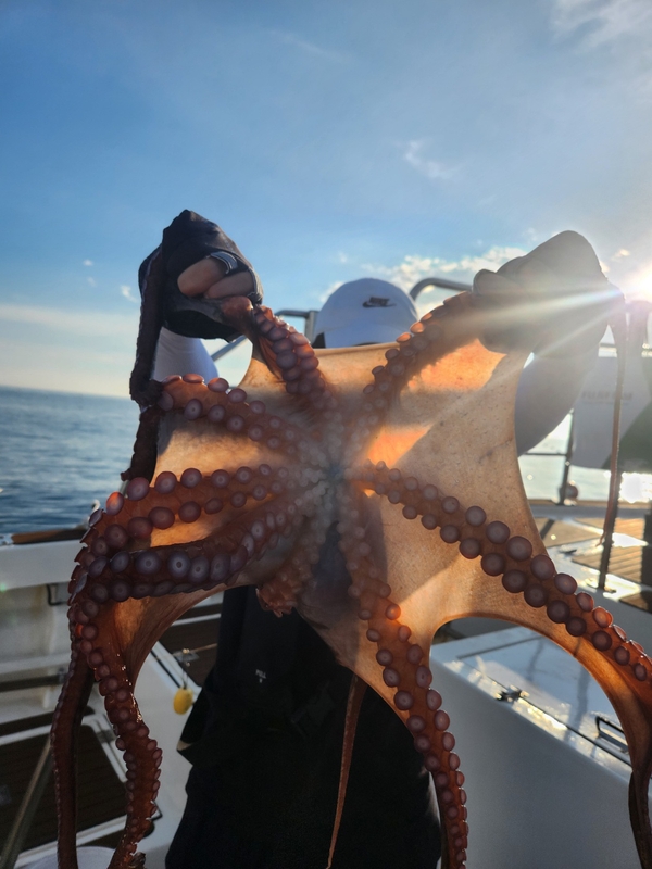 씨엔조이호의 조황일지 이미지 - 9