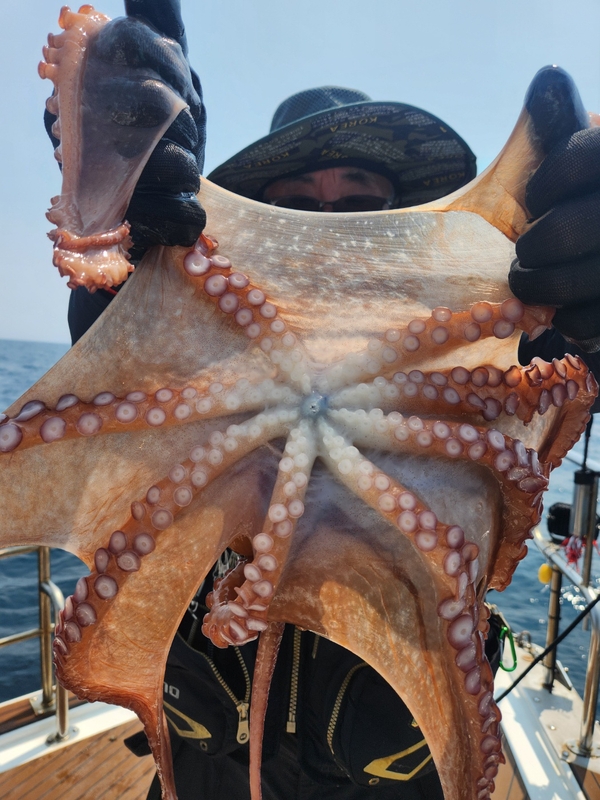 씨엔조이호의 조황일지 이미지 - 11