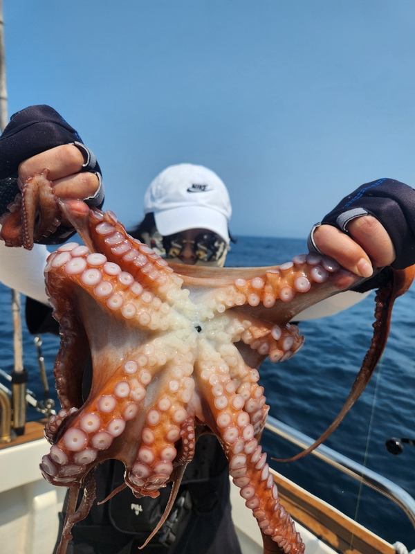 씨엔조이호의 조황일지 이미지 - 10